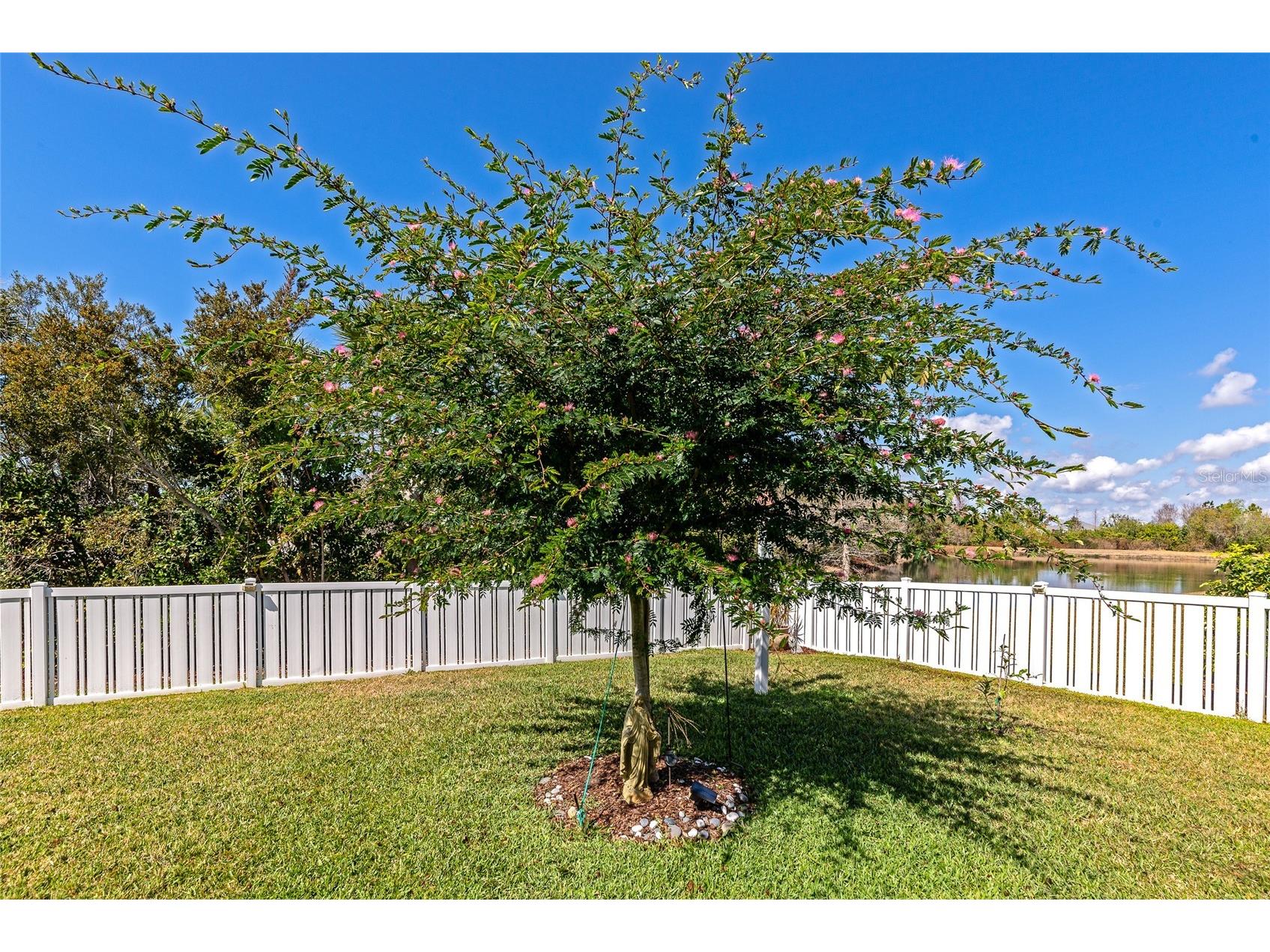 4207 Cottage Hill Avenue Parrish FL 34219 A4685296 image33