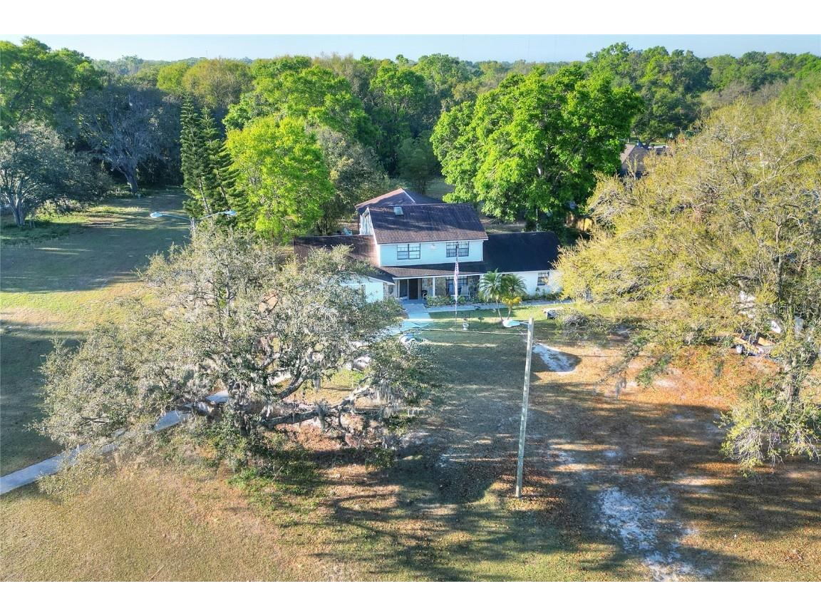 4207 E Lumsden Road Valrico FL 33594 TB8369654 image6