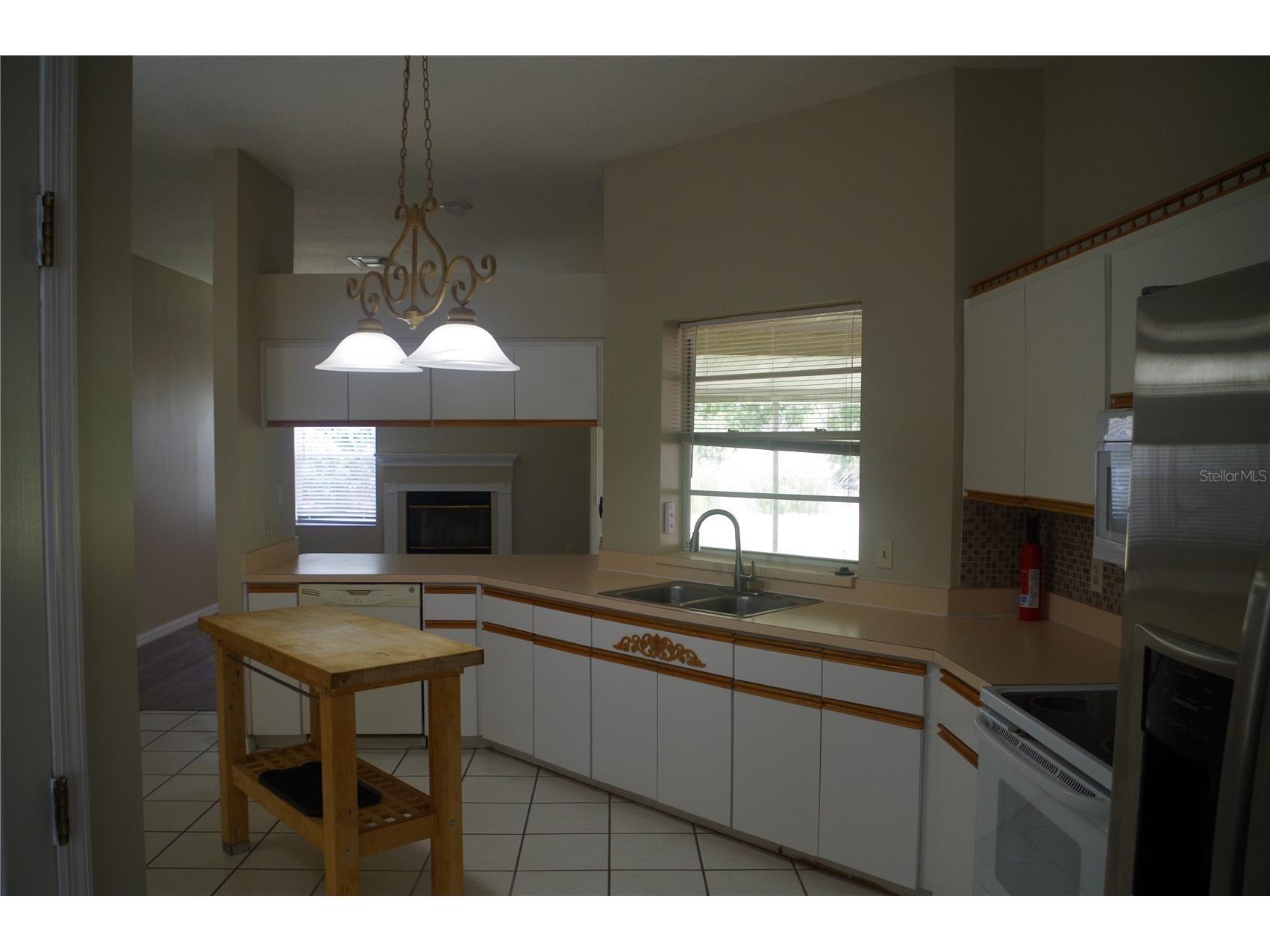 4207 Elba Place Valrico FL 33596 TB8512581 image15