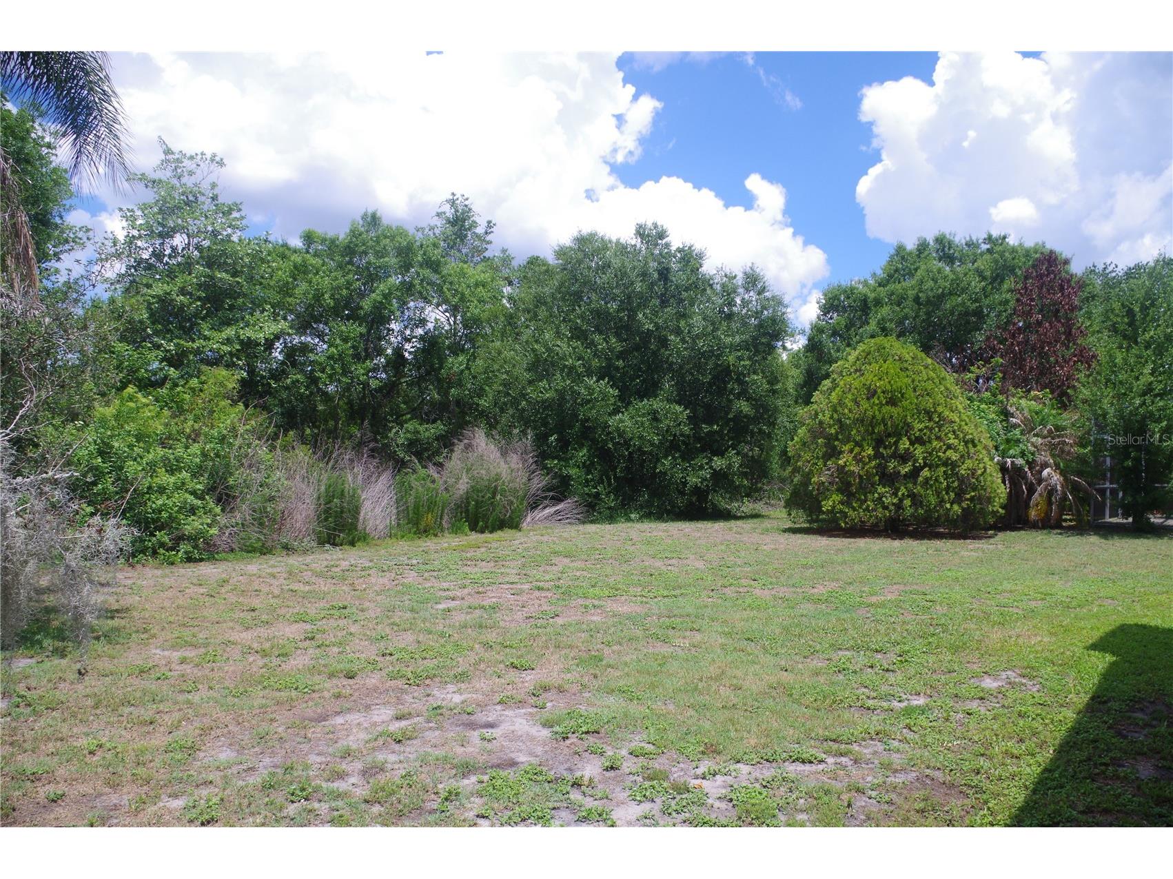 4207 Elba Place Valrico FL 33596 TB8512581 image3