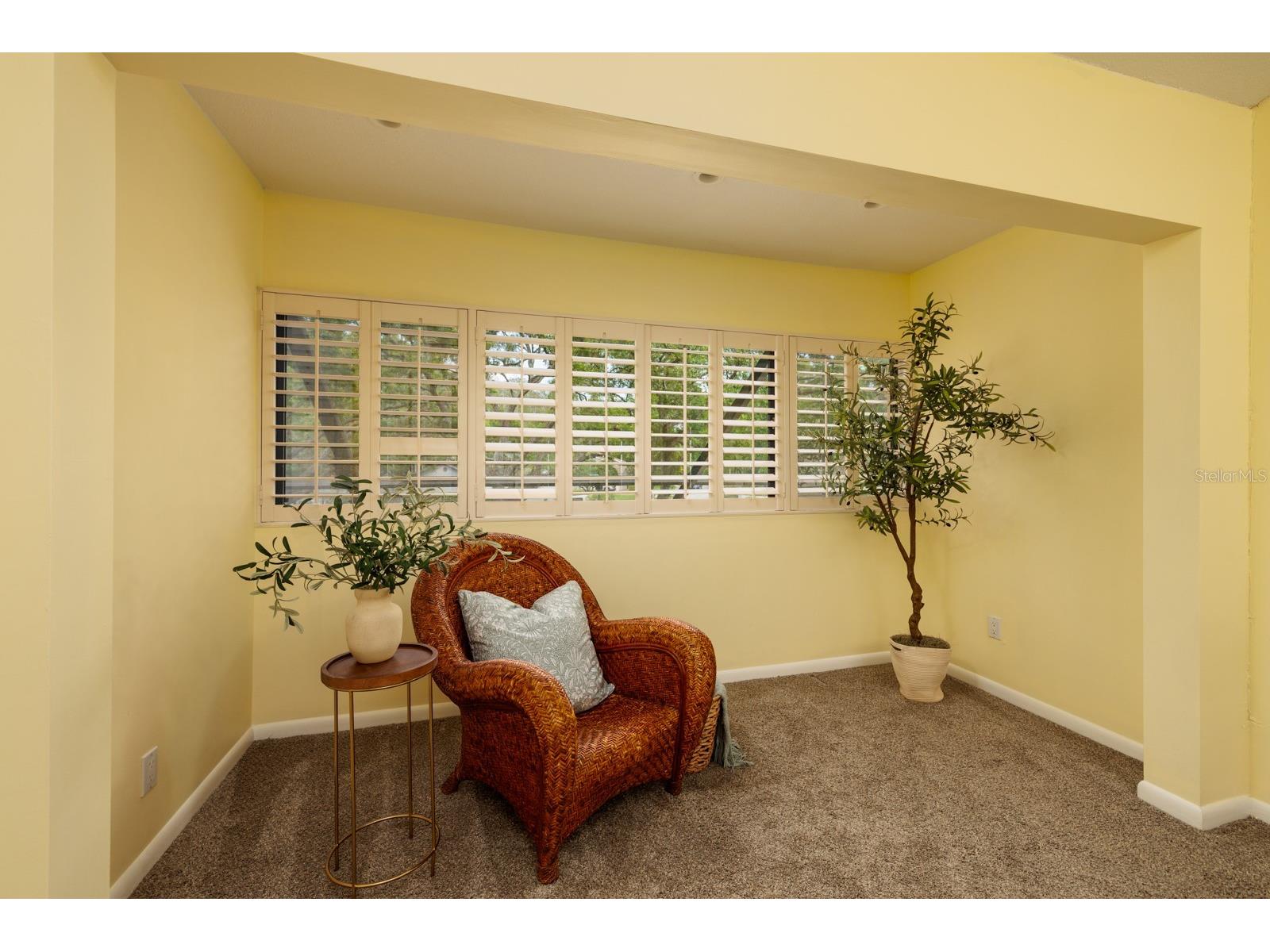 4207 Fairway Run Tampa FL 33618 TB8368580 image30