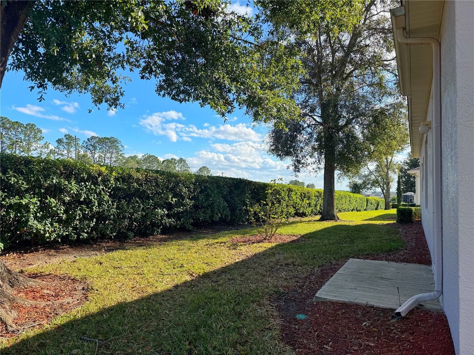 4207 Kingsley Street Clermont FL 34711 G5107108 image46