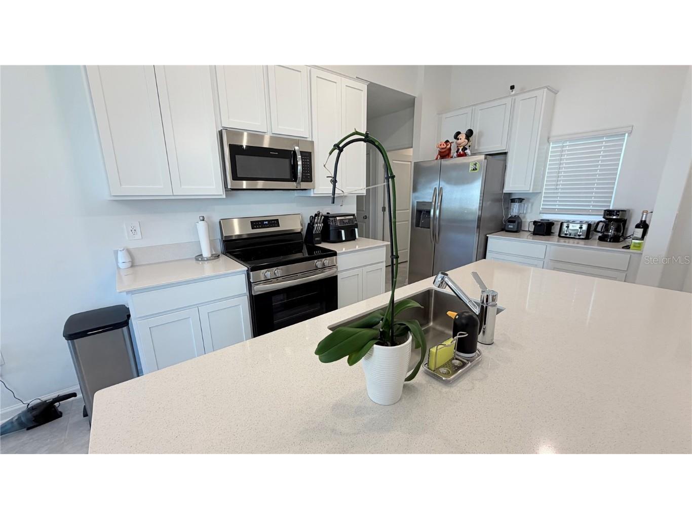 4207 Mountain Laurel Lane Kissimmee FL 34746 O6364465 image11