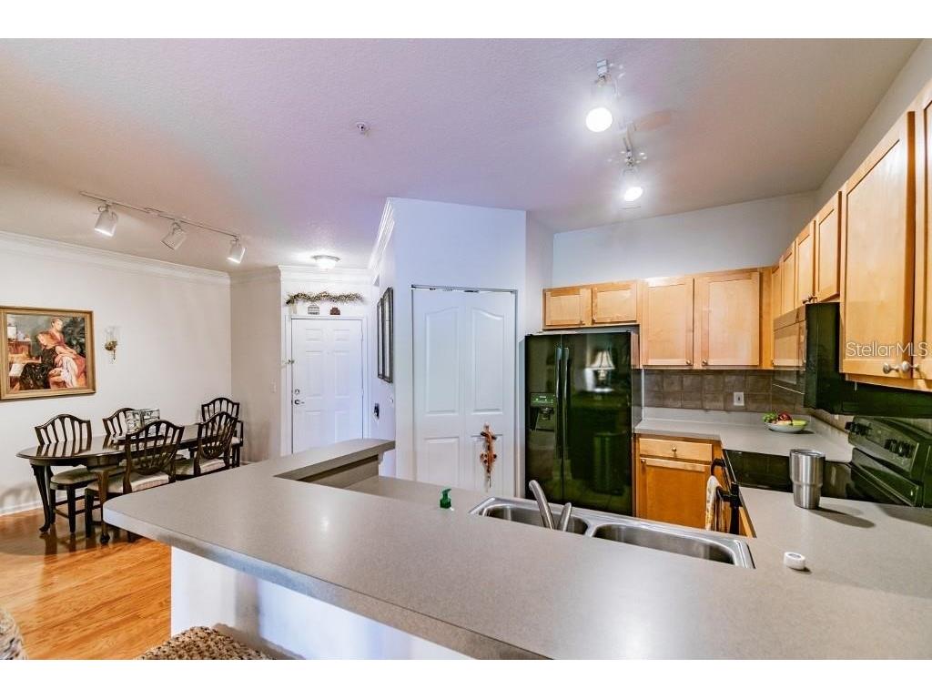 4207 S Dale Mabry Highway #10103 Tampa FL 33611 TB8488919 image21