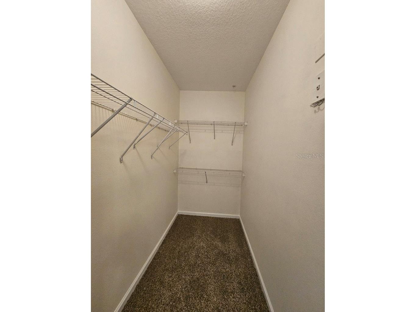 4207 S Dale Mabry Highway #10310 Tampa FL 33611 TB8504906 image13