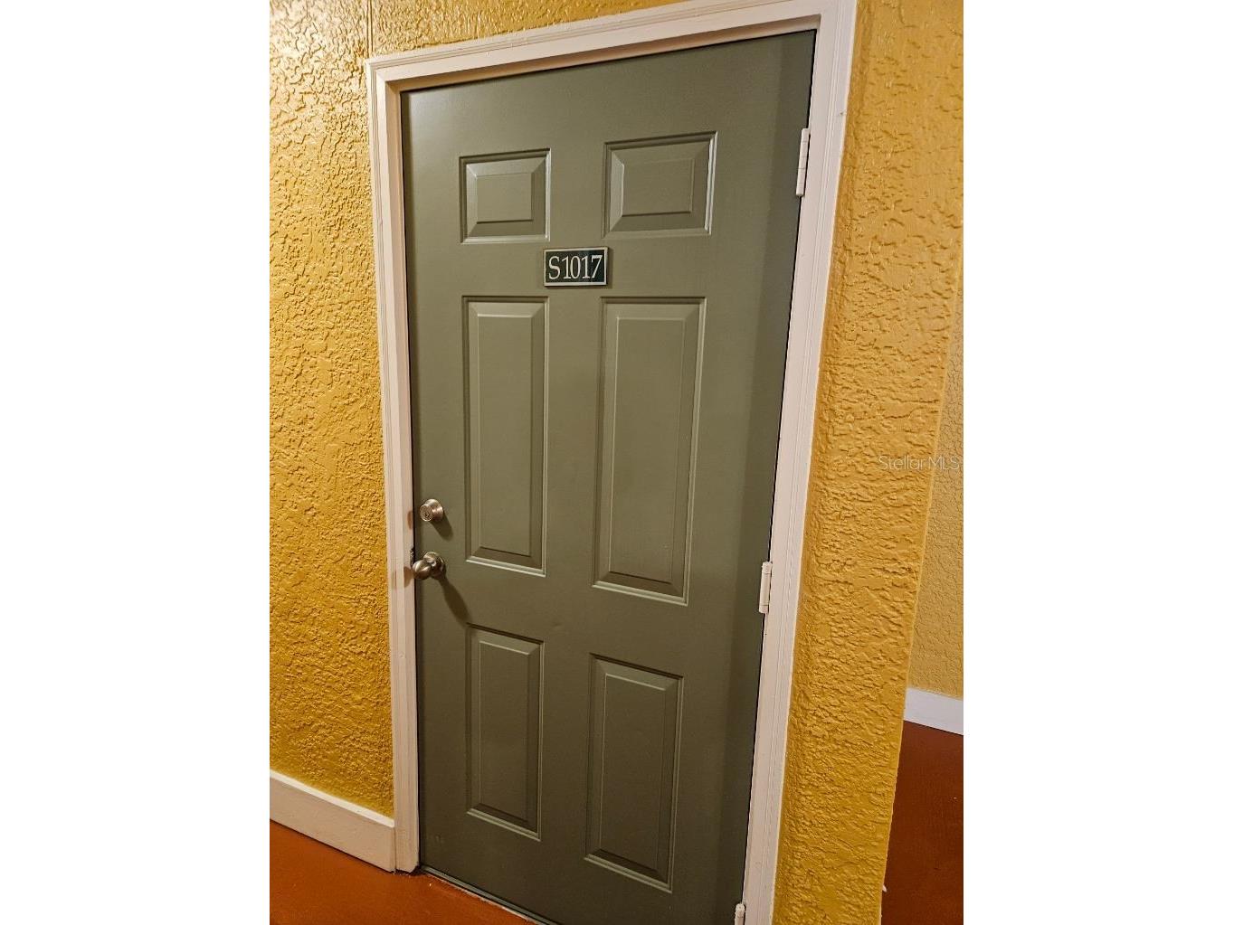 4207 S Dale Mabry Highway #10310 Tampa FL 33611 TB8504906 image17