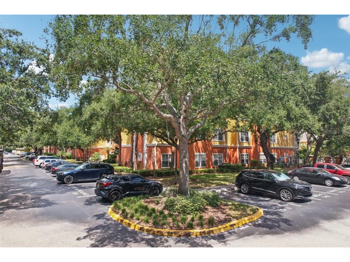4207 S Dale Mabry Highway #11207 Tampa FL 33611 TB8418891 image59