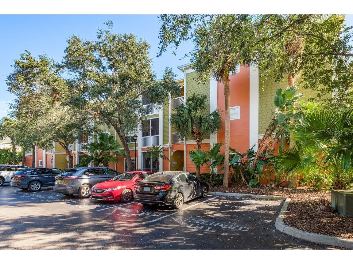 4207 S Dale Mabry Highway #12210 Tampa FL 33611 TB8336120 image1