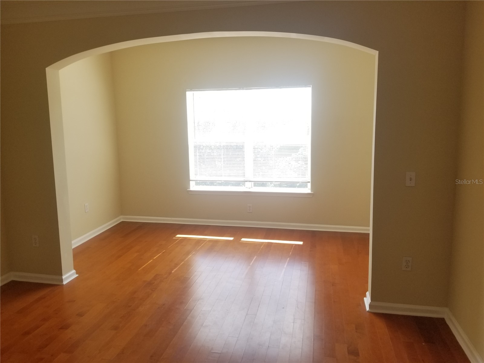 4207 S Dale Mabry Highway #2401 Tampa FL 33611 TB8506127 image9