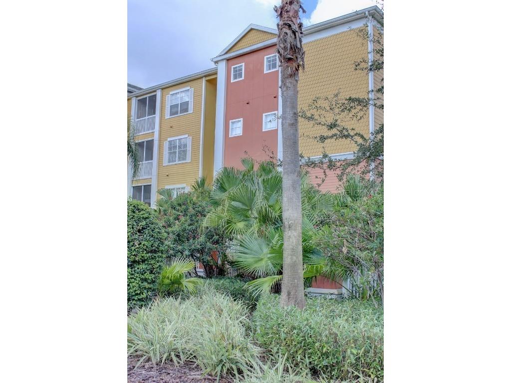 4207 S Dale Mabry Highway #5207 Tampa FL 33611 TB8318553 image1