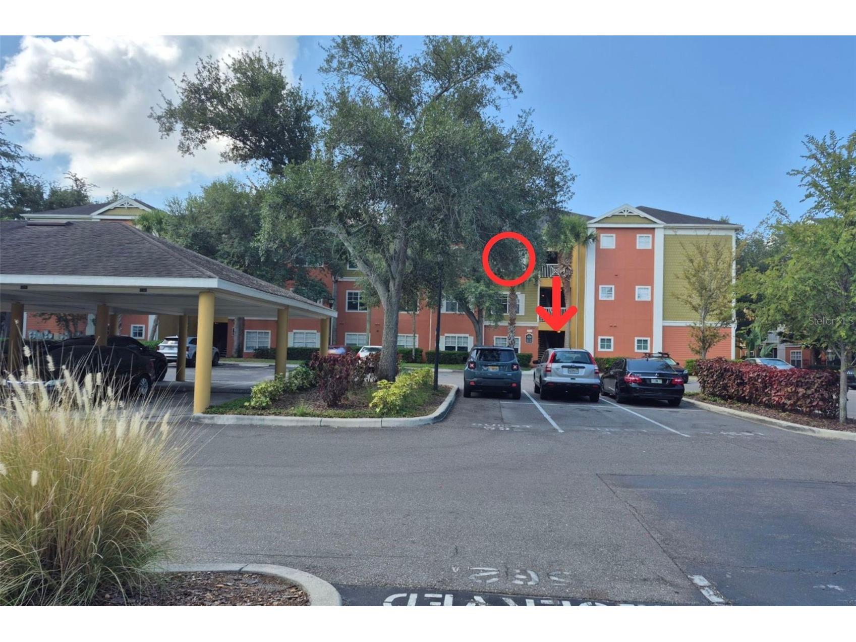 4207 S Dale Mabry Highway #5307 Tampa FL 33611 TB8502777 image35