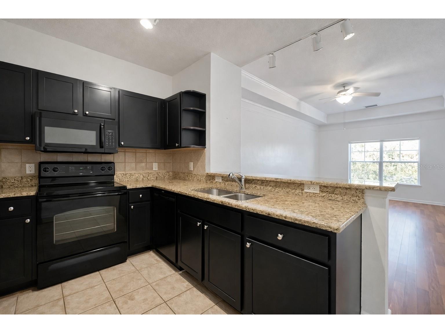 4207 S Dale Mabry Highway #6410 Tampa FL 33611 O6396287 image8