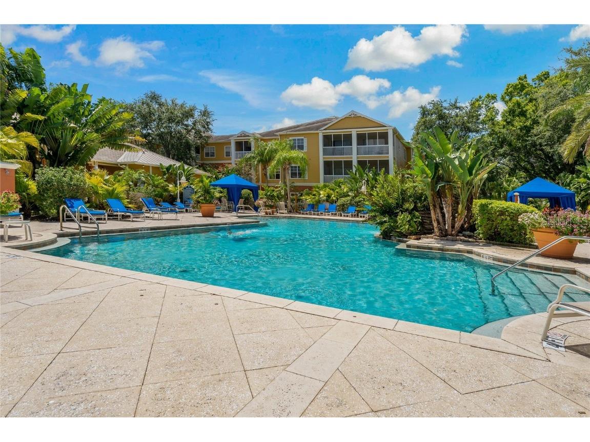 4207 S Dale Mabry Highway #8304 Tampa FL 33611 TB8396889 image27