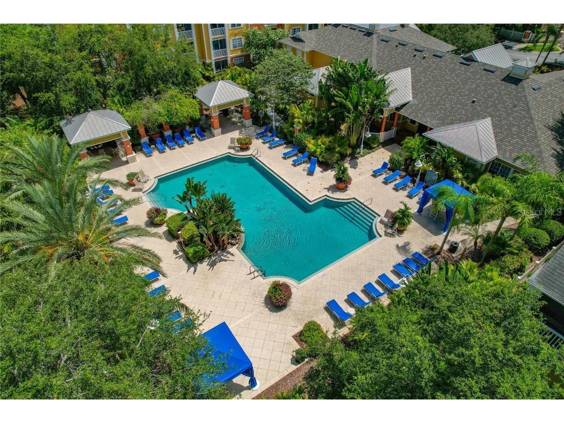 4207 S Dale Mabry Highway #8304 Tampa FL 33611 TB8396889 image36