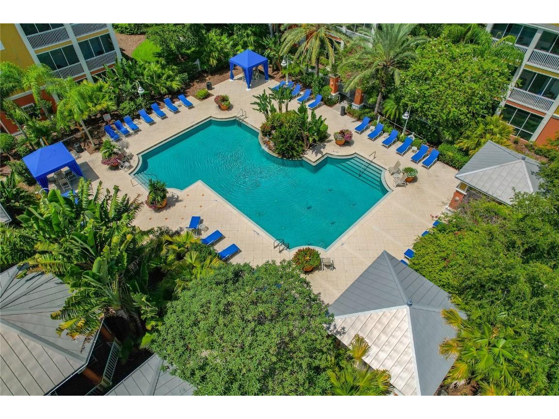 4207 S Dale Mabry Highway #8304 Tampa FL 33611 TB8396889 image38