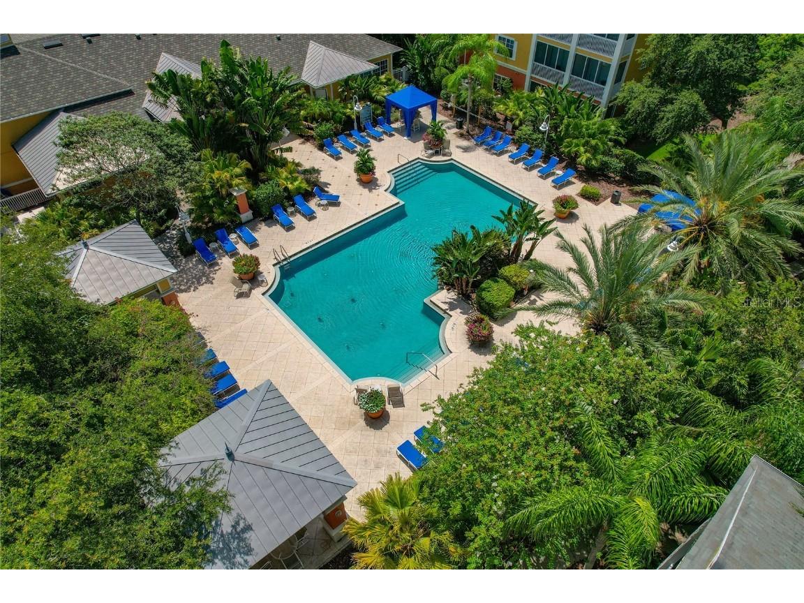 4207 S Dale Mabry Highway #8304 Tampa FL 33611 TB8396889 image39