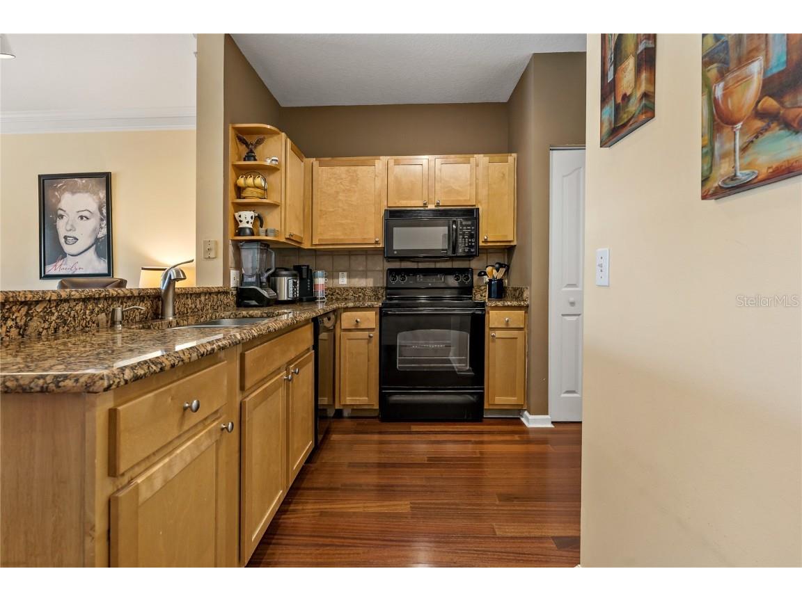 4207 S Dale Mabry Highway #8304 Tampa FL 33611 TB8396889 image4