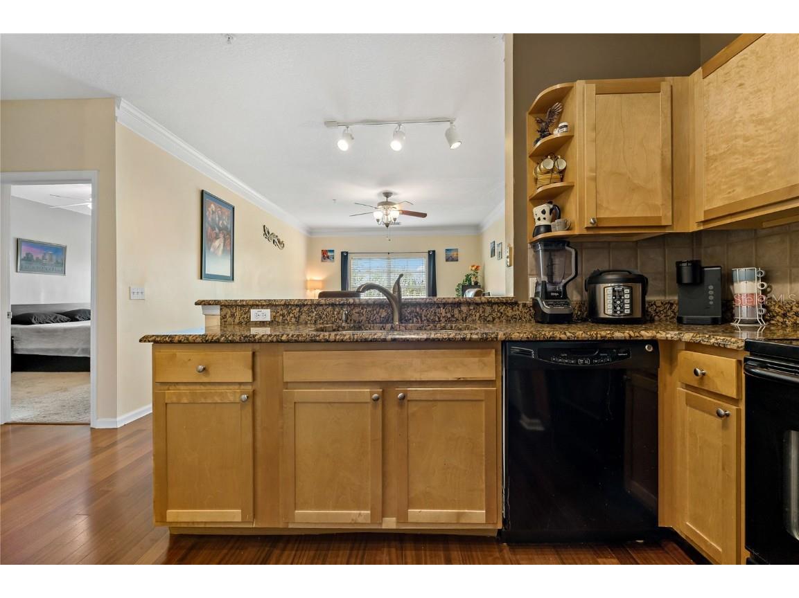 4207 S Dale Mabry Highway #8304 Tampa FL 33611 TB8396889 image7