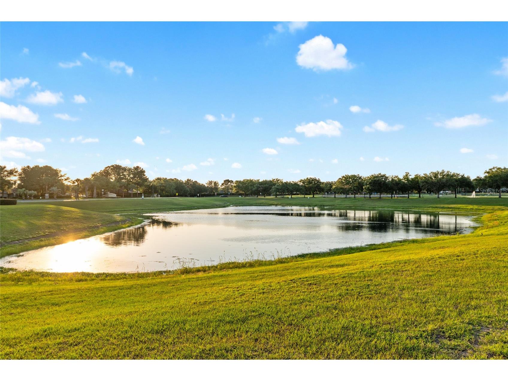 4207 SW 55th Circle Ocala FL 34474 OM724901 image56