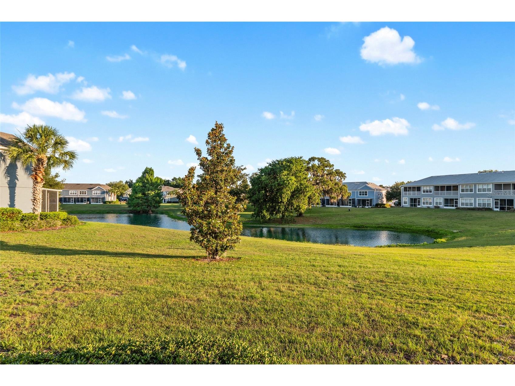 4207 SW 55th Circle Ocala FL 34474 OM724901 image59