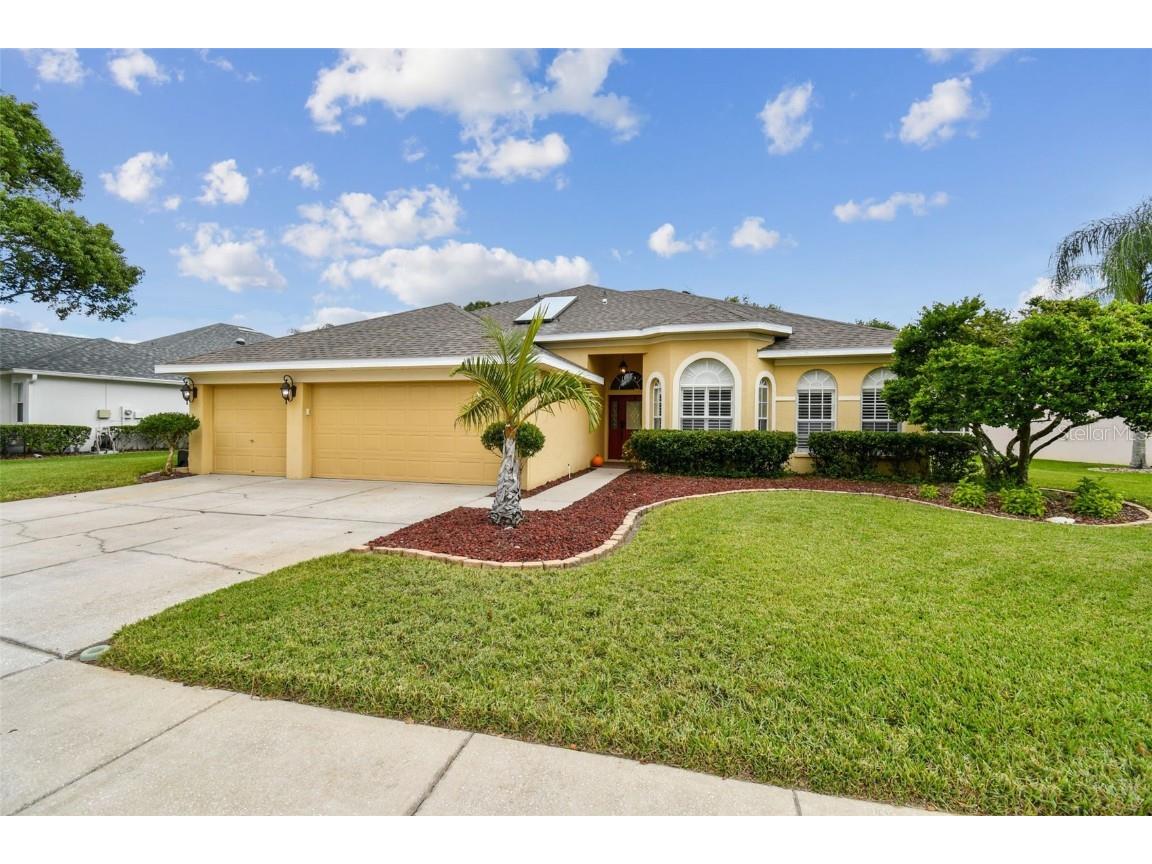 4207 Whittner Drive Land O Lakes FL 34639 T3480869 image1