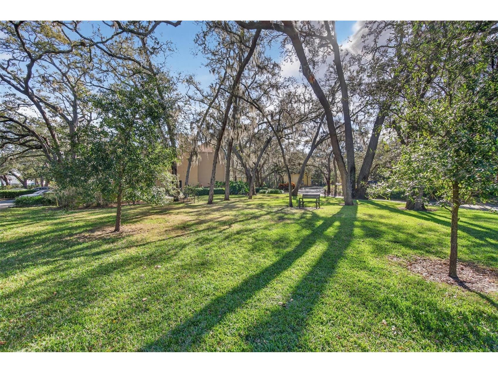 4207 Winding Moss Trail #104 Tampa FL 33613 TB8466675 image21