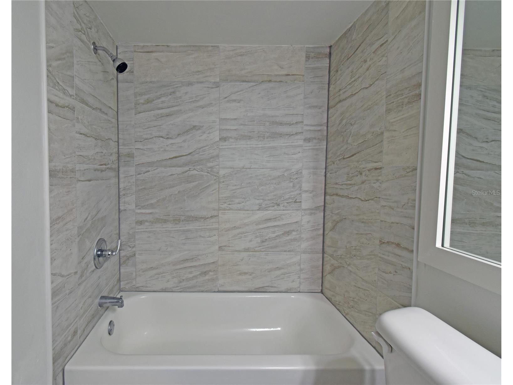4207 Winding Moss Trail #208 Tampa FL 33613 TB8495910 image17