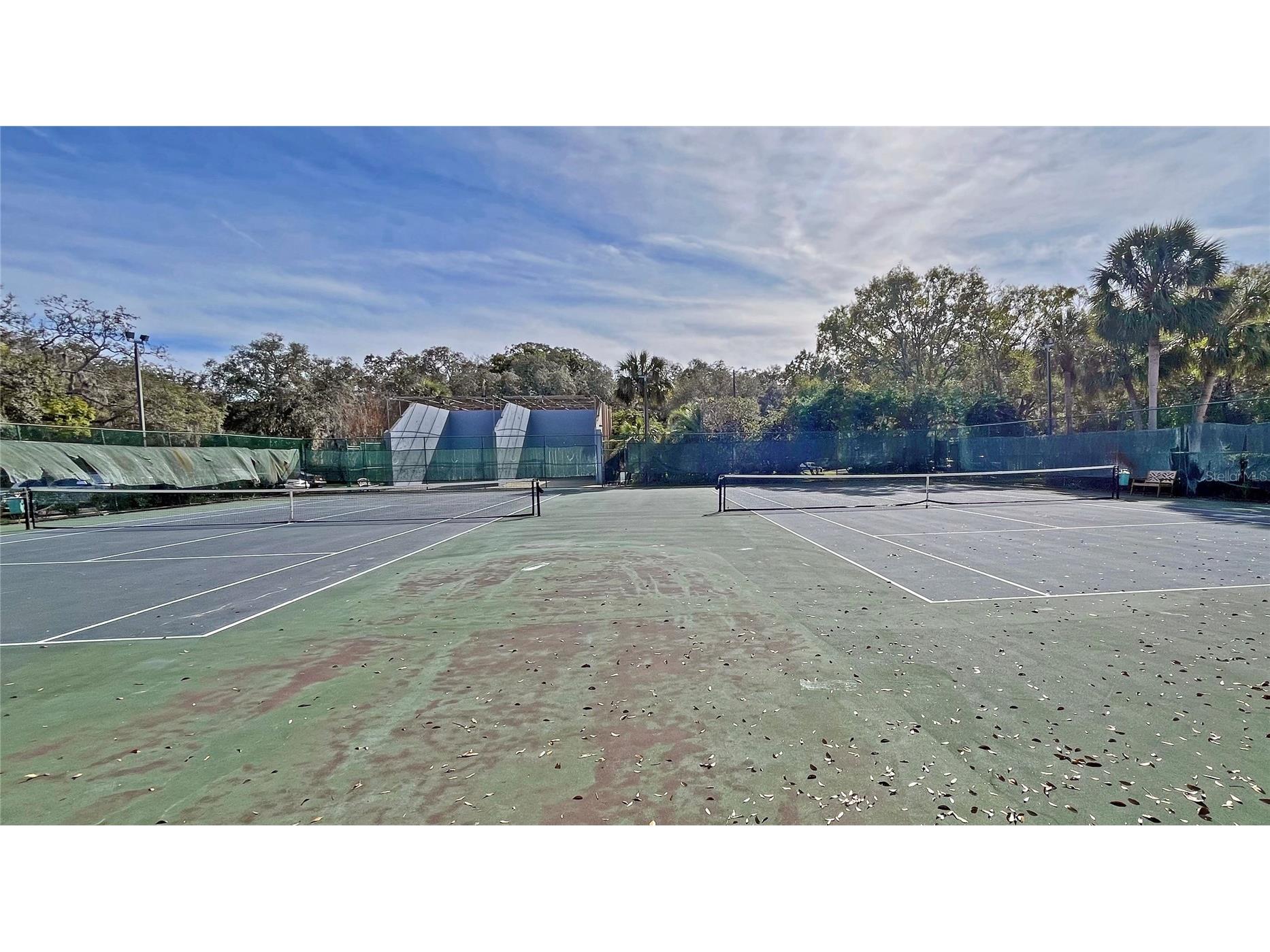 4207 Winding Moss Trail #208 Tampa FL 33613 TB8495910 image21