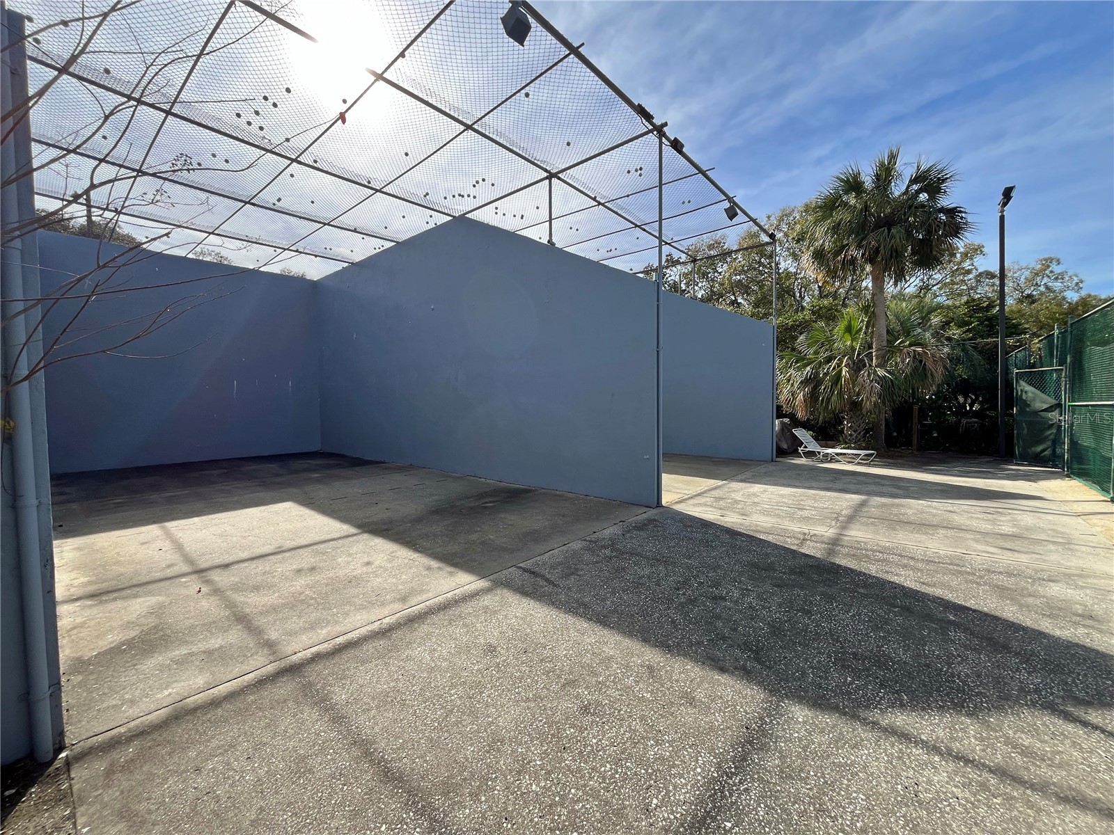 4207 Winding Moss Trail #208 Tampa FL 33613 TB8495910 image22