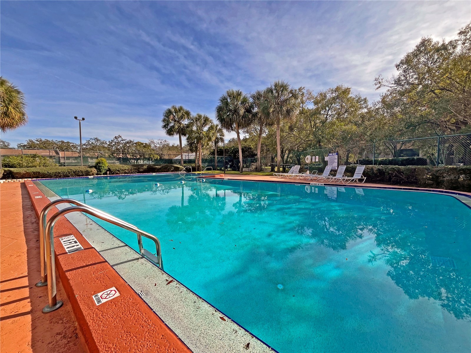 4207 Winding Moss Trail #208 Tampa FL 33613 TB8495910 image24