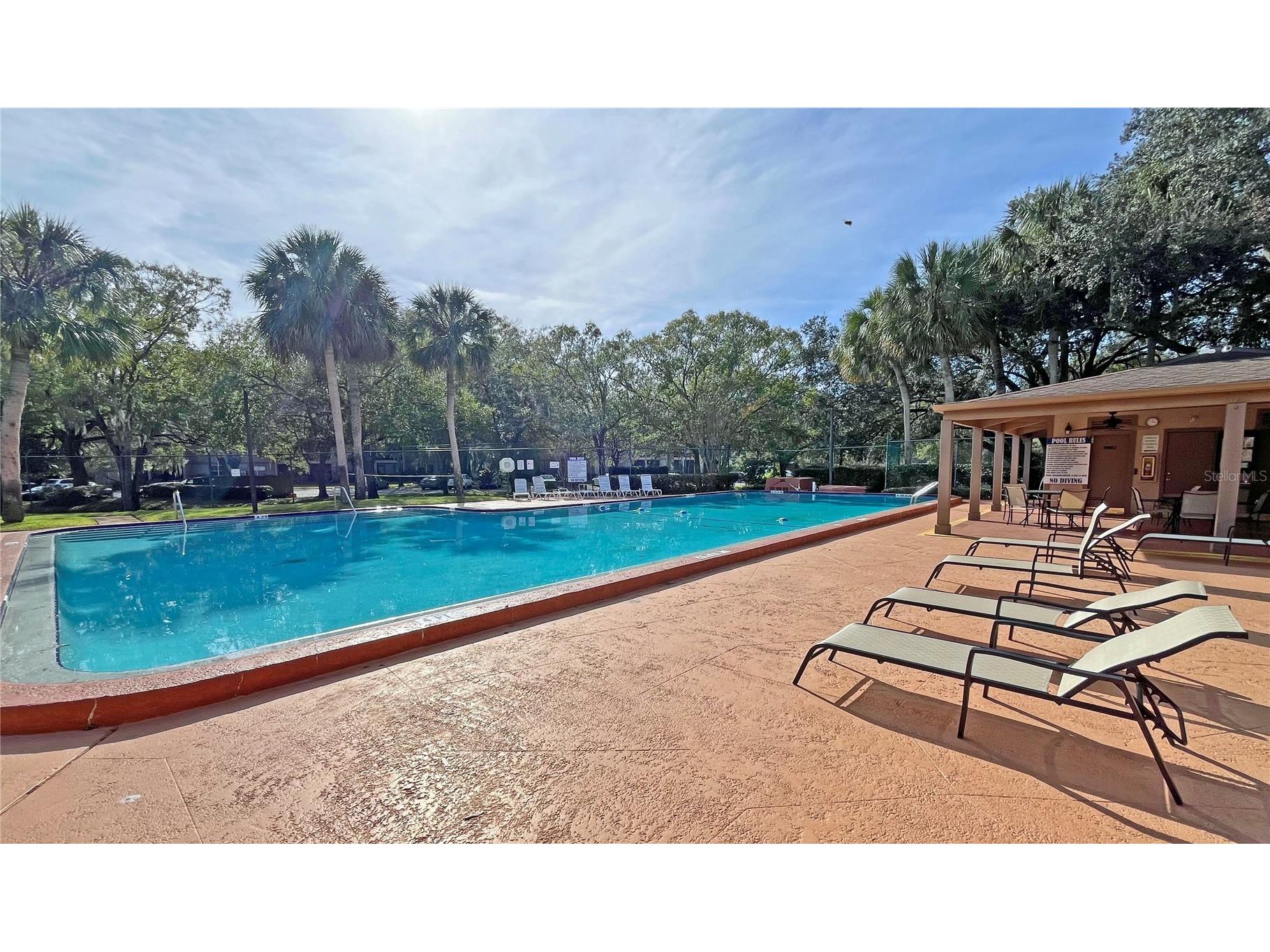 4207 Winding Moss Trail #208 Tampa FL 33613 TB8495910 image28