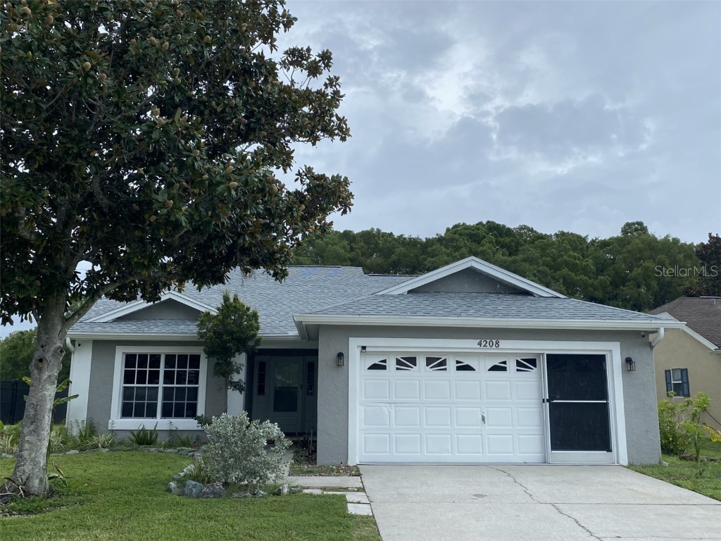 4208 Andover Street New Port Richey FL 34653 T3548748 image1