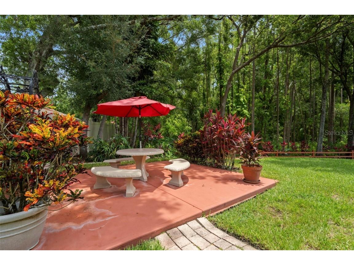 4208 Carrollwood Village Drive Tampa FL 33618 TB8406027 image37