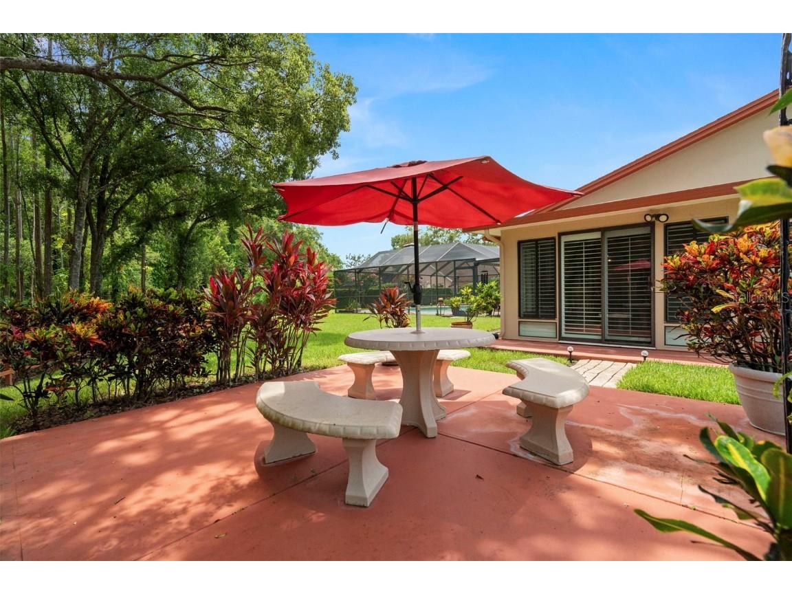 4208 Carrollwood Village Drive Tampa FL 33618 TB8406027 image38