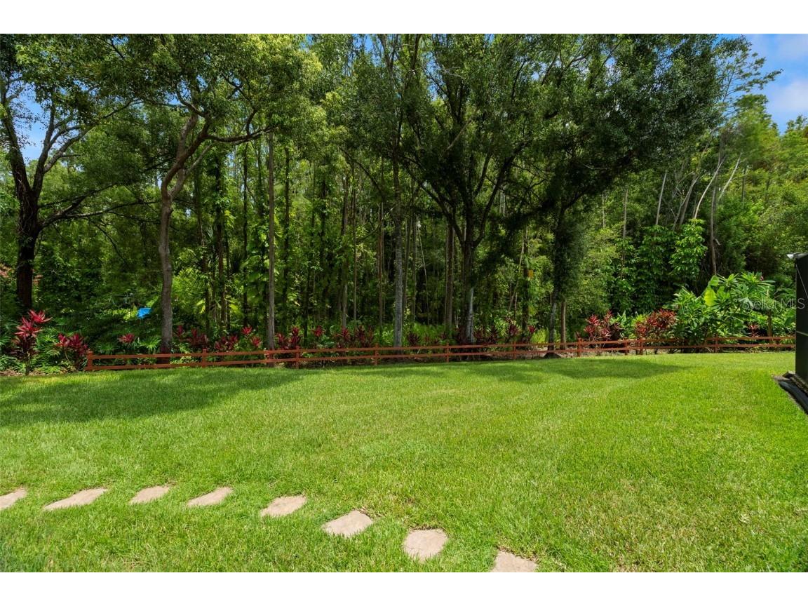 4208 Carrollwood Village Drive Tampa FL 33618 TB8406027 image40