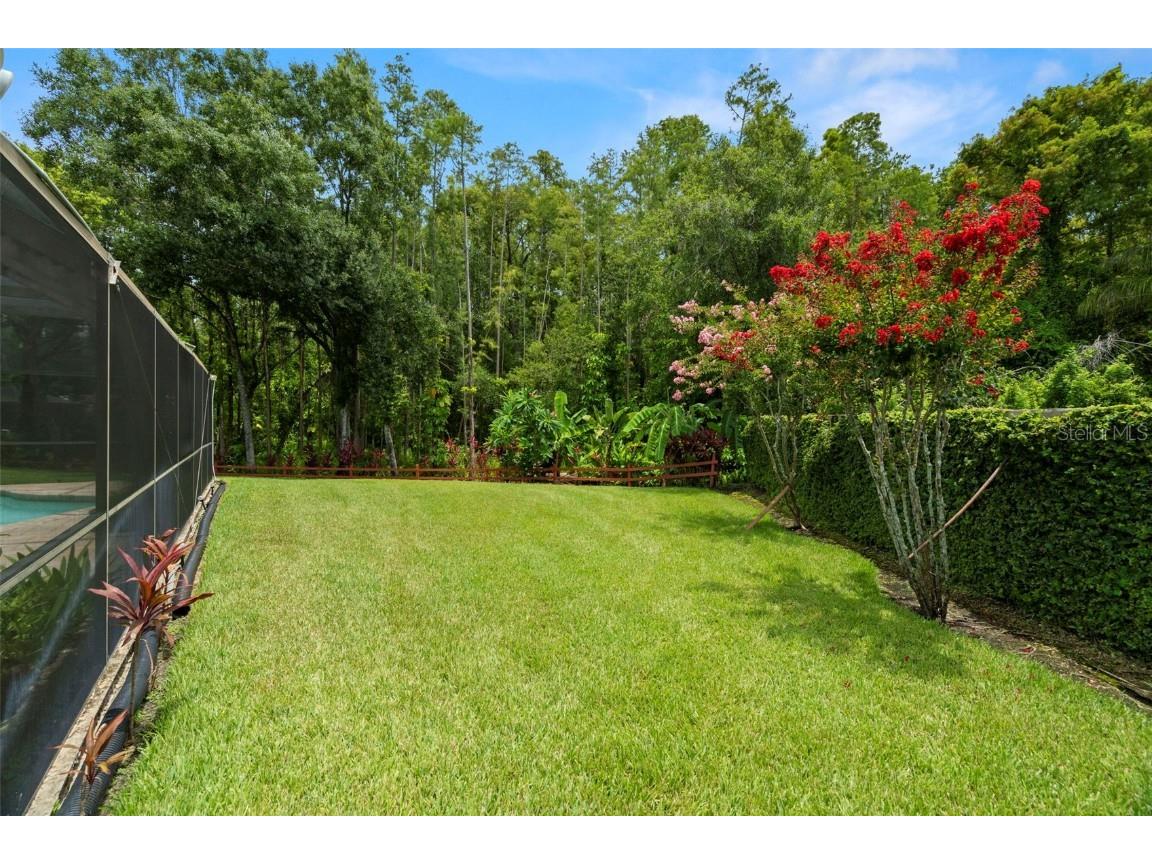 4208 Carrollwood Village Drive Tampa FL 33618 TB8406027 image41