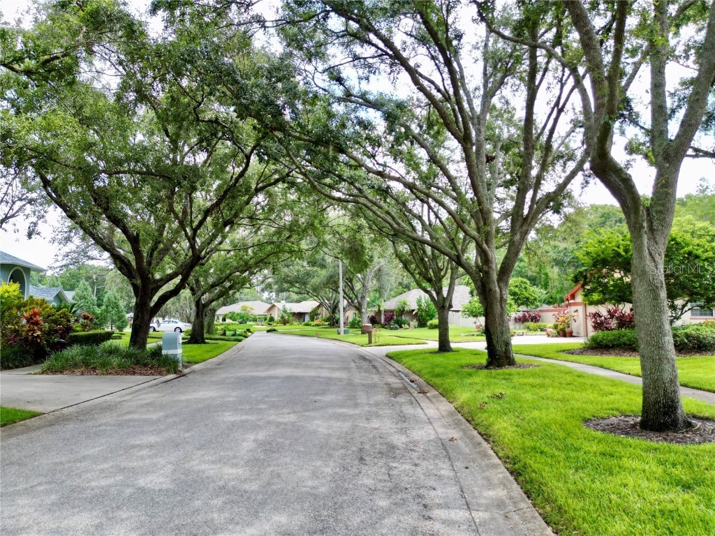 4208 Carrollwood Village Drive Tampa FL 33618 TB8406027 image49