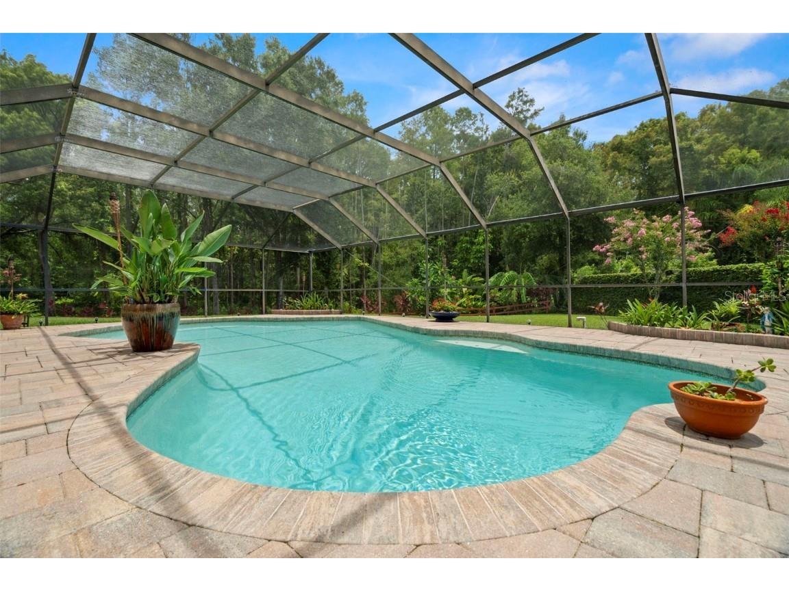 4208 Carrollwood Village Drive Tampa FL 33618 TB8406027 image5