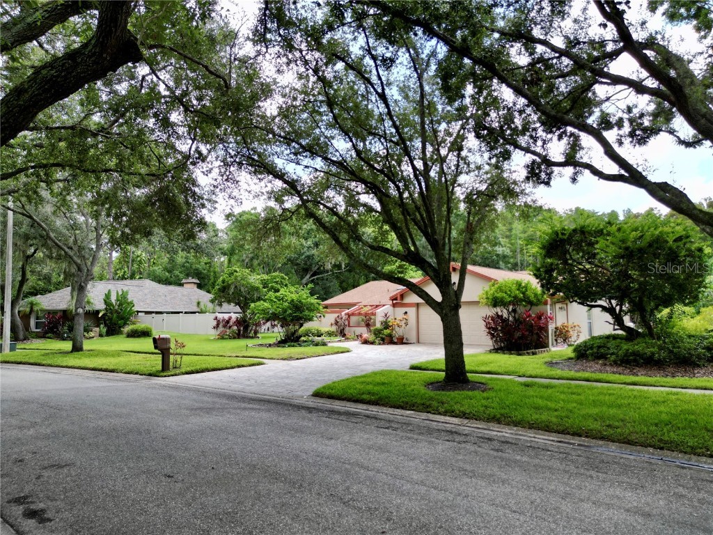 4208 Carrollwood Village Drive Tampa FL 33618 TB8406027 image50