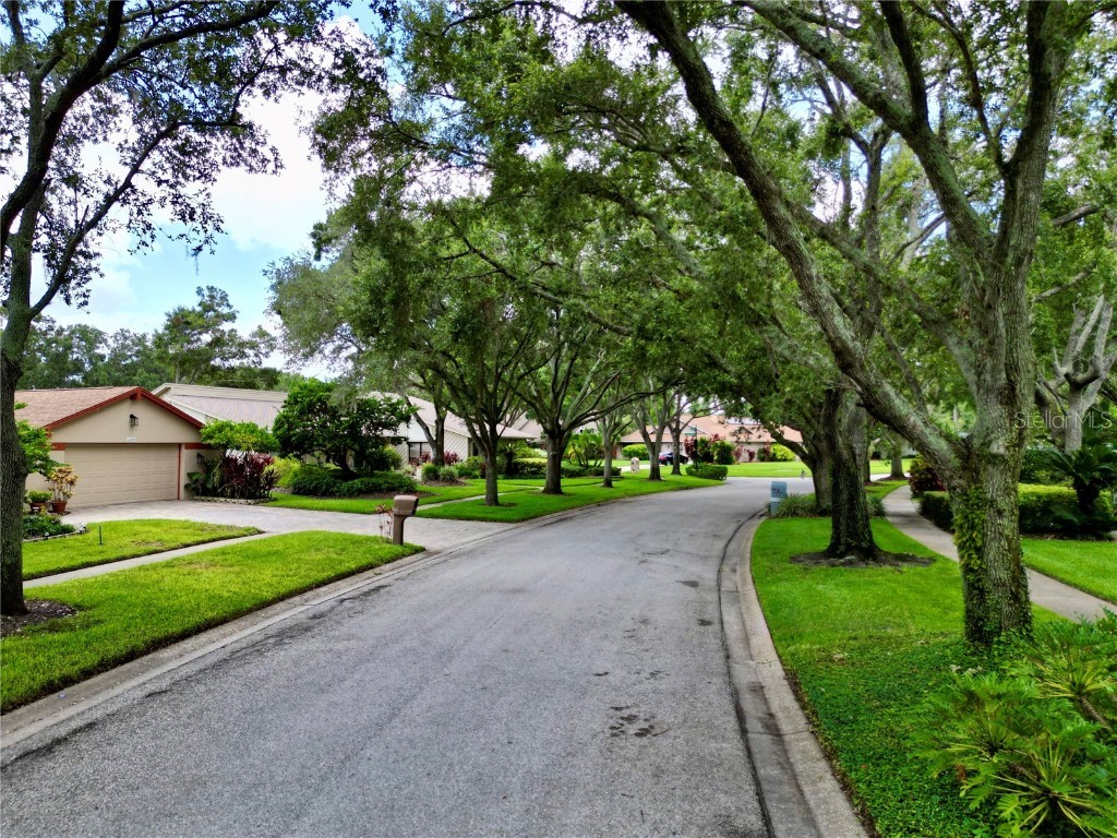 4208 Carrollwood Village Drive Tampa FL 33618 TB8406027 image51