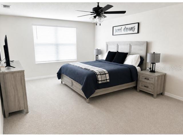 4208 Dovetail Lane Palmetto FL 34221 A4697059 image10