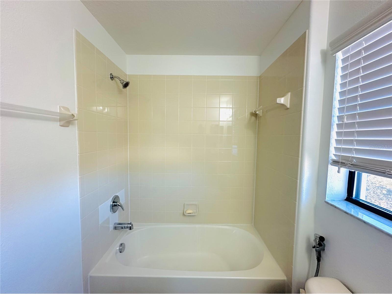 4208 Fennwood Court Wesley Chapel FL 33543 TB8474666 image25