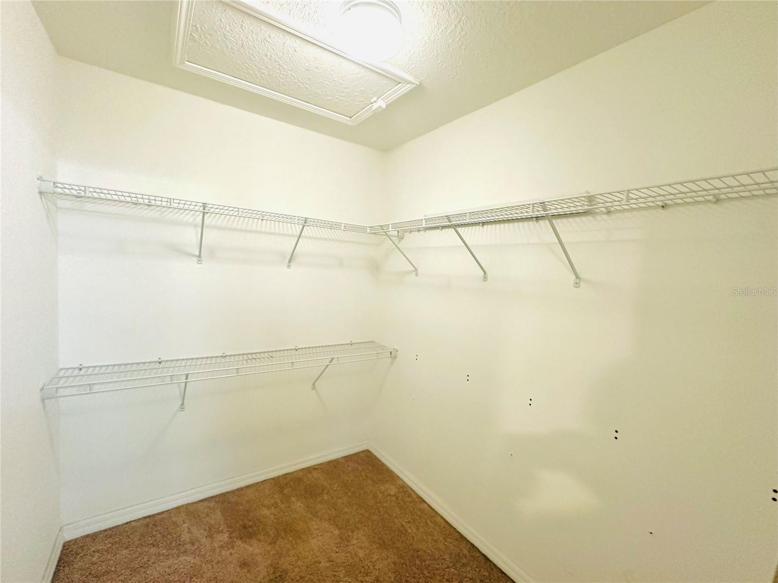 4208 Fennwood Court Wesley Chapel FL 33543 TB8474666 image29