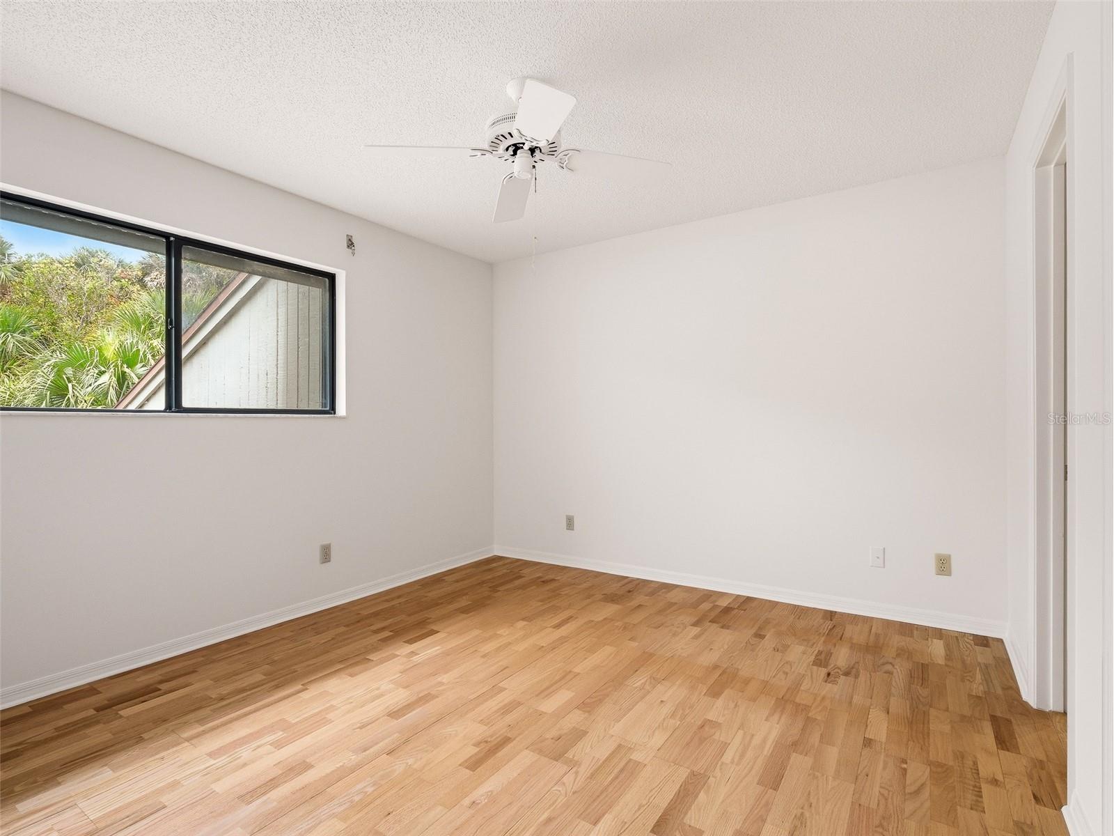 4208 Gull Cove New Smyrna Beach FL 32169 NS1087496 image34