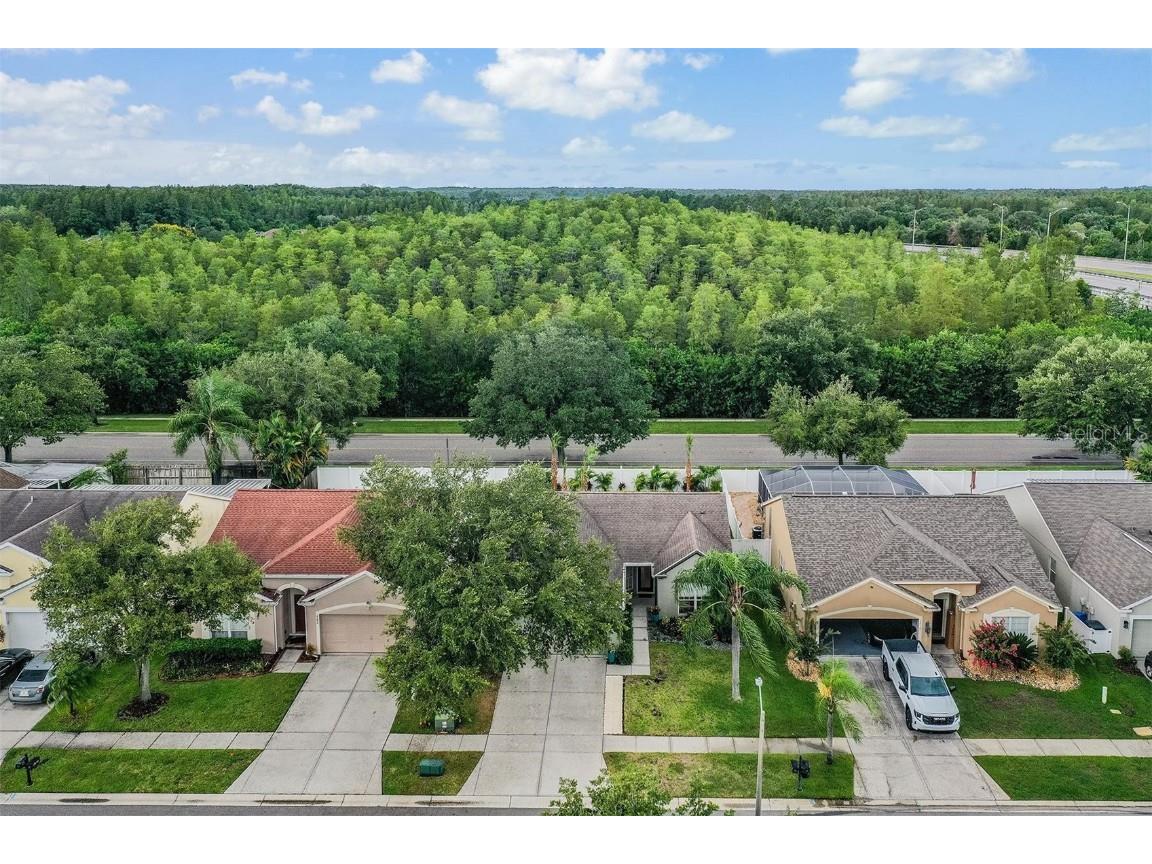 4208 Pine Isle Drive Lutz FL 33558 TB8453179 image36