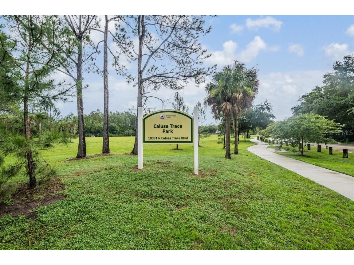 4208 Pine Isle Drive Lutz FL 33558 TB8453179 image39