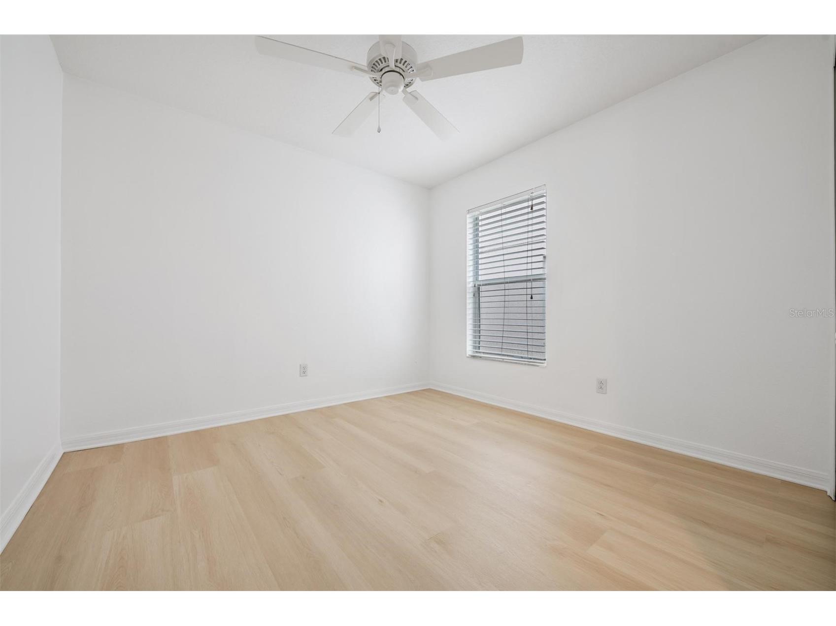 4208 Pine Isle Drive Lutz FL 33558 TB8453619 image24