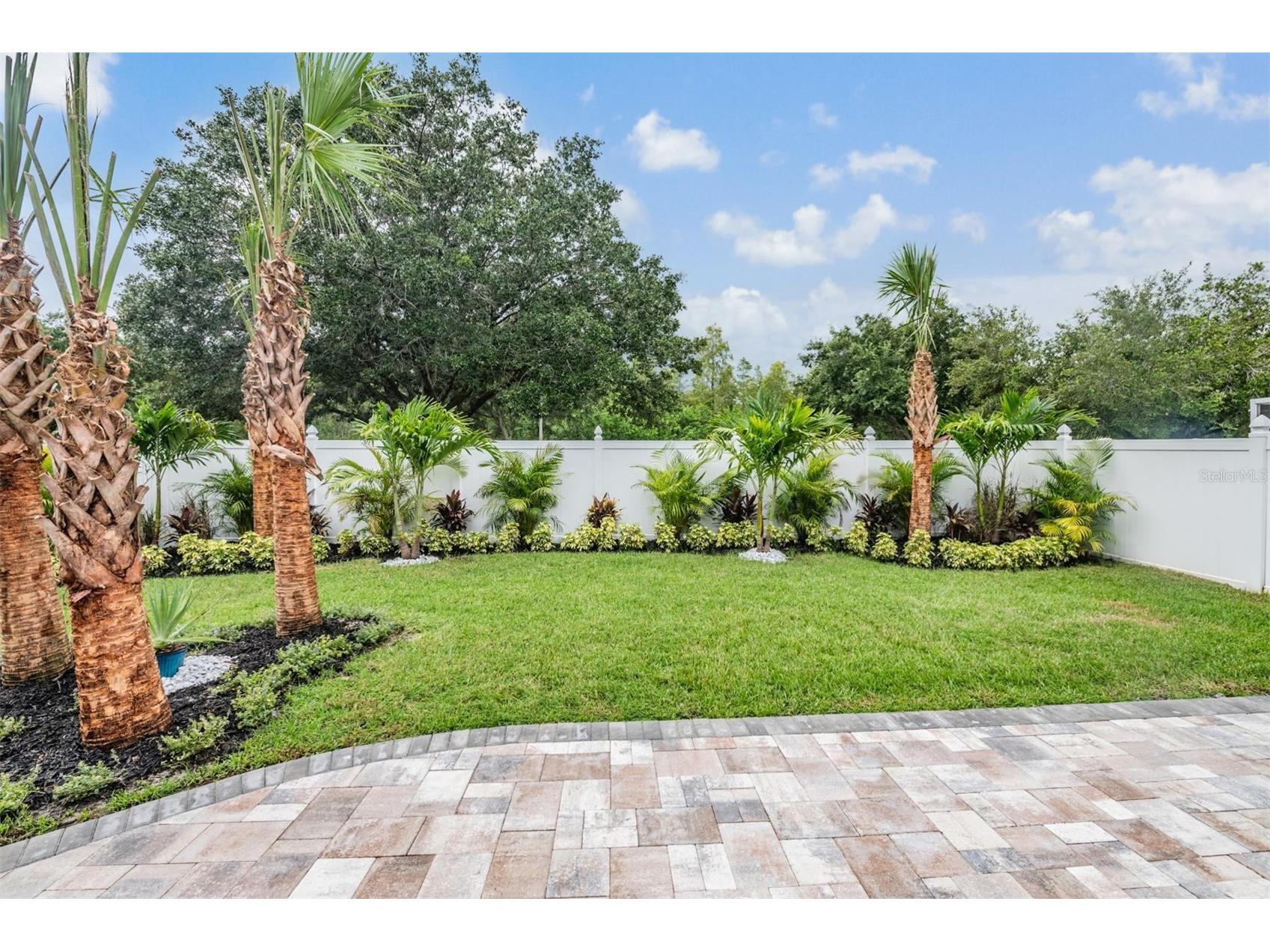 4208 Pine Isle Drive Lutz FL 33558 TB8453619 image29