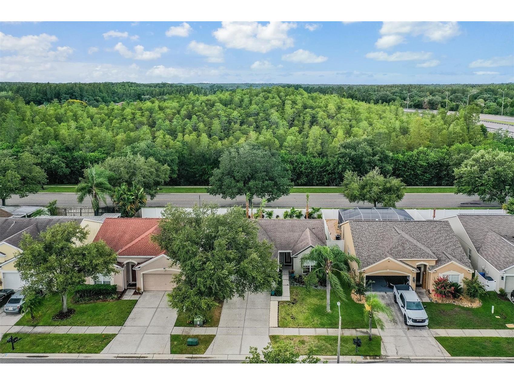4208 Pine Isle Drive Lutz FL 33558 TB8453619 image35