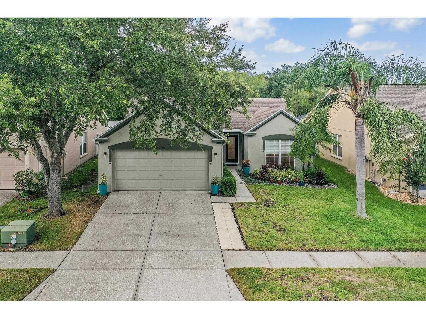 4208 Pine Isle Drive Lutz FL 33558 TB8453619 image36